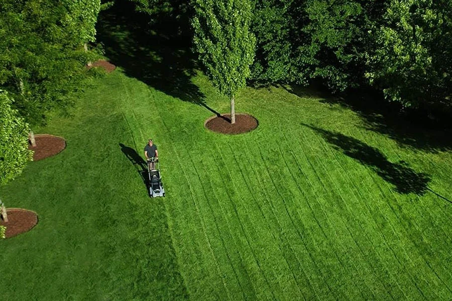 cordless electric self propelled mower